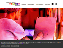 Tablet Screenshot of pellegrinibrera.com